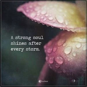 Meet your Posher, Sandy